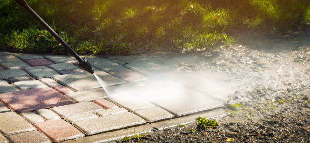 Best Animal Enclosure Cleaning  in Luther, OK